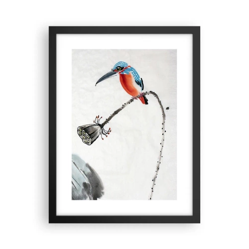 Poster in cornice nera - La vita del prato - 30x40 cm