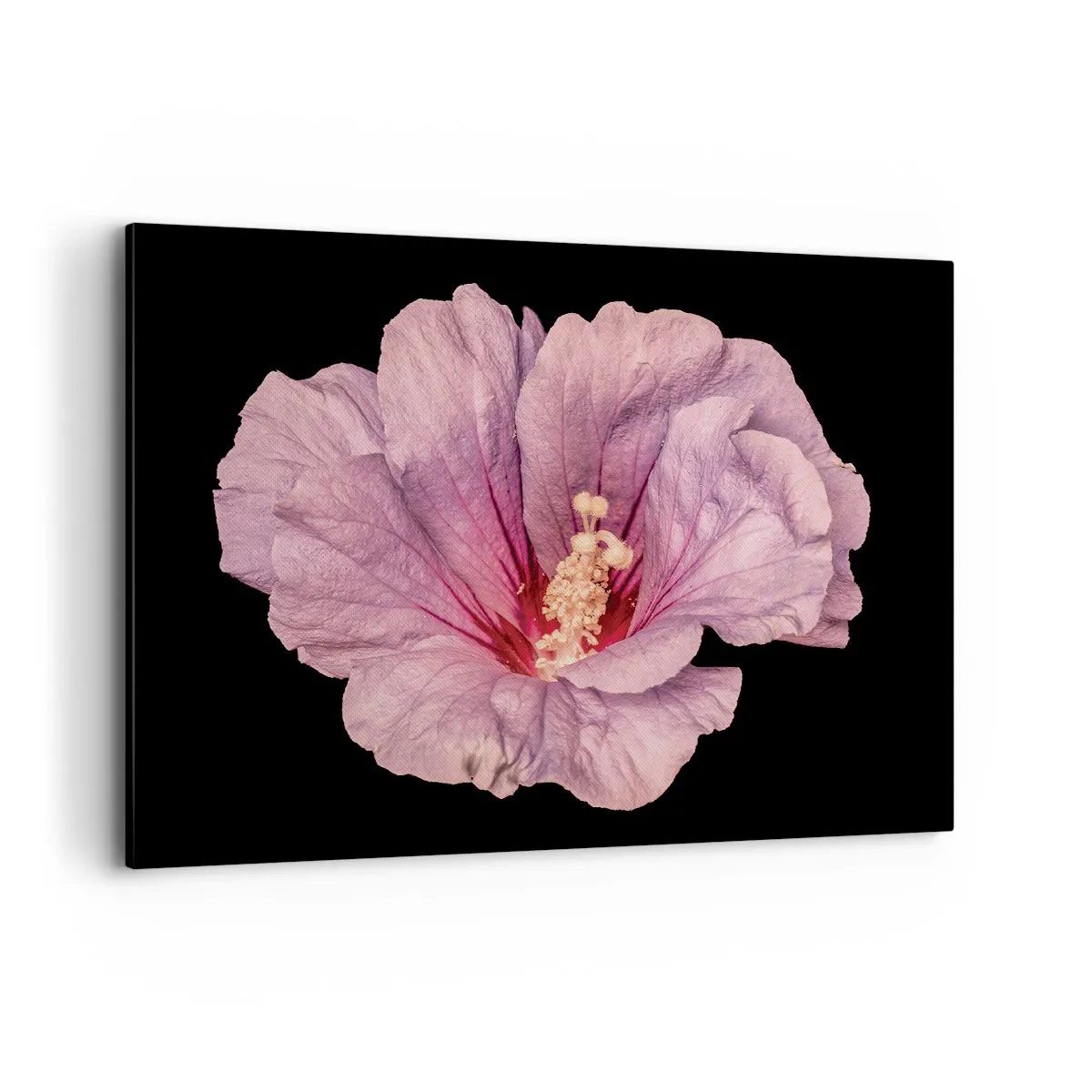 Quadro su tela - Stampe su Tela - Fiore rosa su sfondo nero - 100x70cm - Dritto al cuore - Decorazione murale moderna per soggiorno e camera da letto ARTTOR