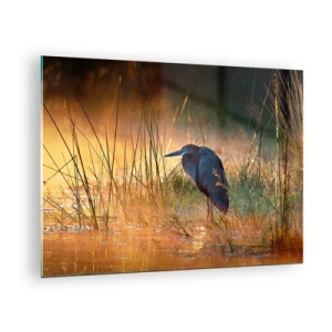 Quadro su vetro - Tramonto su un lago con un airone - 70x50cm - Basta con queste foto - Decorazione murale moderna per soggiorno e camera da letto ARTTOR