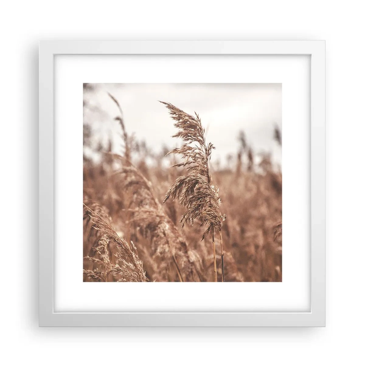 Poster in cornice bianca - Nei campi è già autunno - 30x30 cm