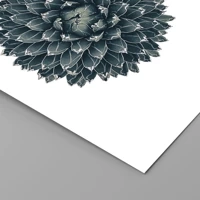 Senza cornice