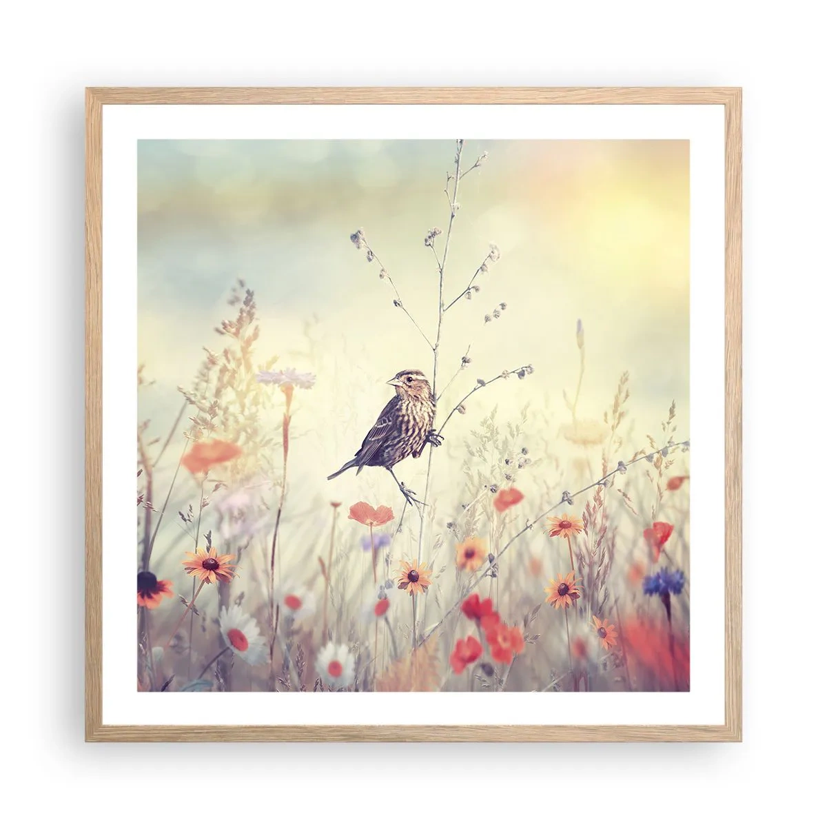 Poster in cornice rovere chiaro - Ritratto d'uccello con prato di sfondo - 60x60 cm