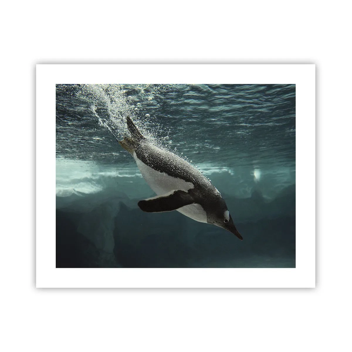 Poster - Benvenuto nel mio mondo - 50x40 cm