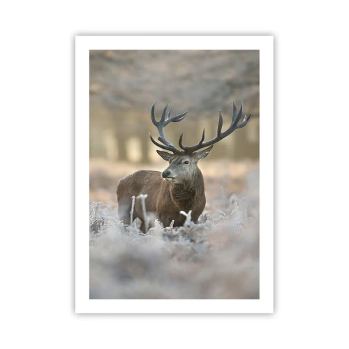 Poster - Un maestoso cervo in una foresta invernale - 50x70cm - Fresco mattino - Decorazione murale moderna per soggiorno e camera da letto ARTTOR