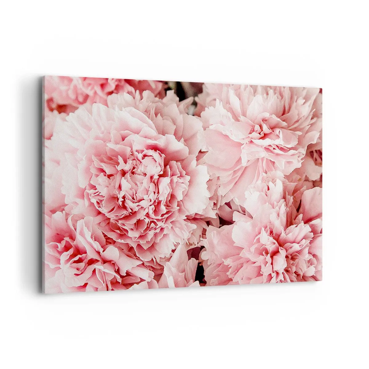 Quadro su tela - Stampe su Tela - Delicate peonie rosa in un ambiente delicato - 120x80cm - Sogno rosa - Decorazione murale moderna per soggiorno e camera da letto ARTTOR