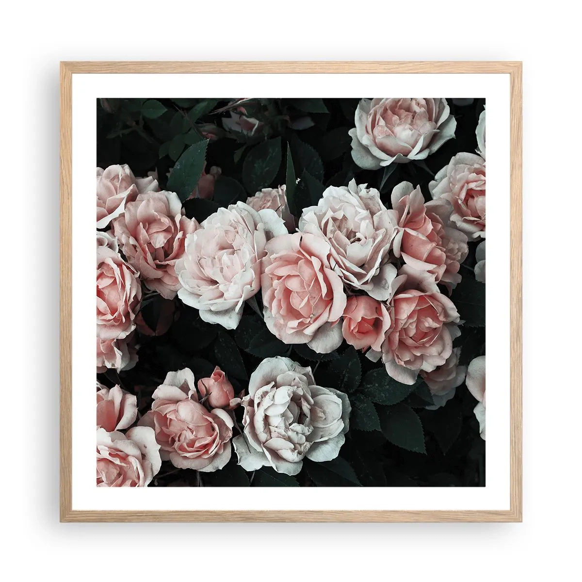 Poster in cornice rovere chiaro - Composizione di rose - 60x60 cm