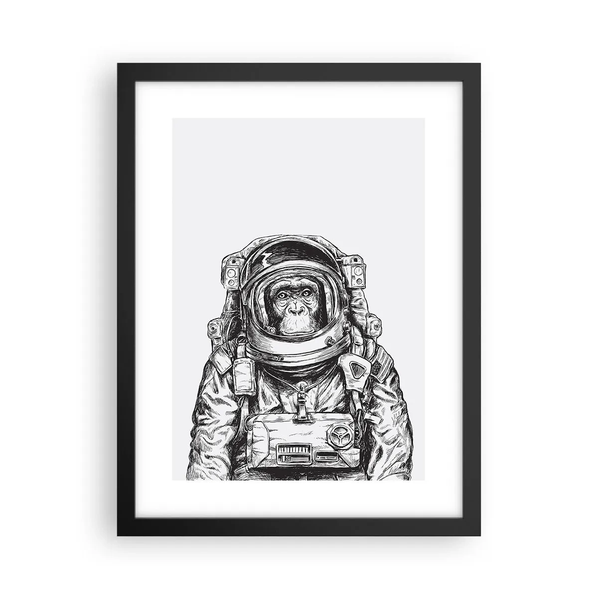 Poster in cornice nera - Evoluzione alternativa - 30x40 cm