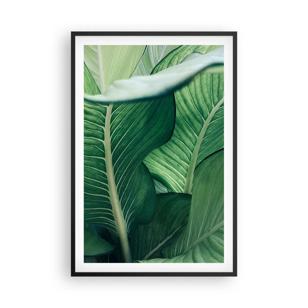 Poster in cornice nera - Una vita intensamente verde - 61x91 cm
