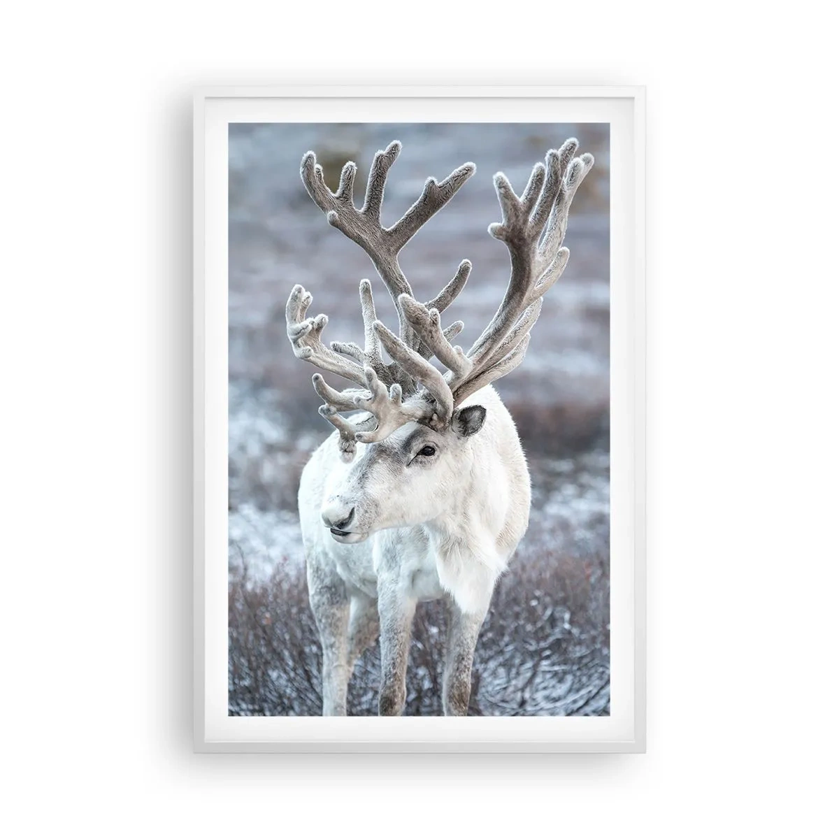 Poster in cornice bianca - Ritratto al sole - 61x91 cm