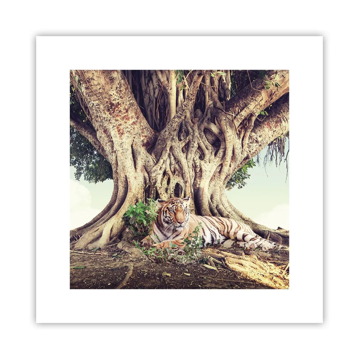 Poster - Vista dal Libro della Genesi - 30x30 cm