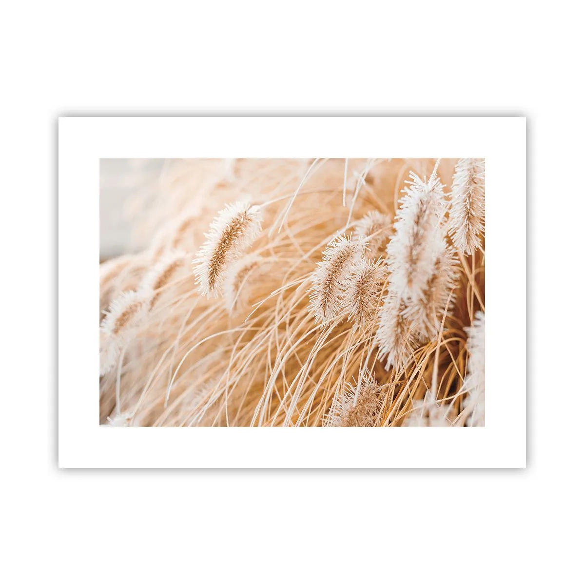 Poster - Il fruscio dorato dell'erba - 40x30 cm