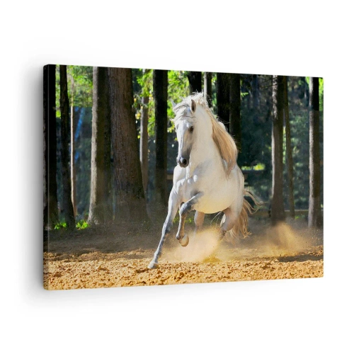 Quadro su tela - Stampe su Tela - Un cavallo bianco che galoppa attraverso una radura nella foresta - 70x50cm - Come nei racconti fantasy - Decorazione murale moderna per soggiorno e camera da letto ARTTOR