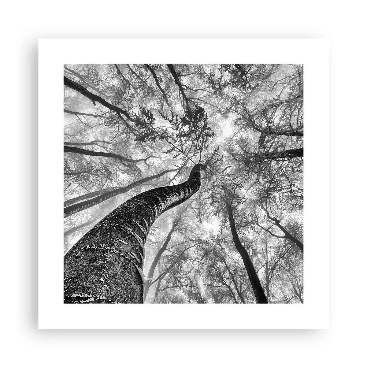 Poster - La corsa verso la luce - 40x40 cm