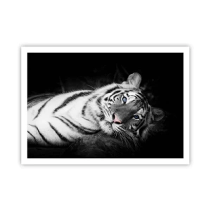 Poster - Una tigre bianca artisticamente raffigurata su uno sfondo nero - 100x70cm - Selvaggità e pace - Decorazione murale moderna per soggiorno e camera da letto ARTTOR