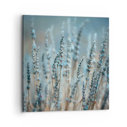 Quadro su tela - Stampe su Tela - Campo profumato - 70x70 cm