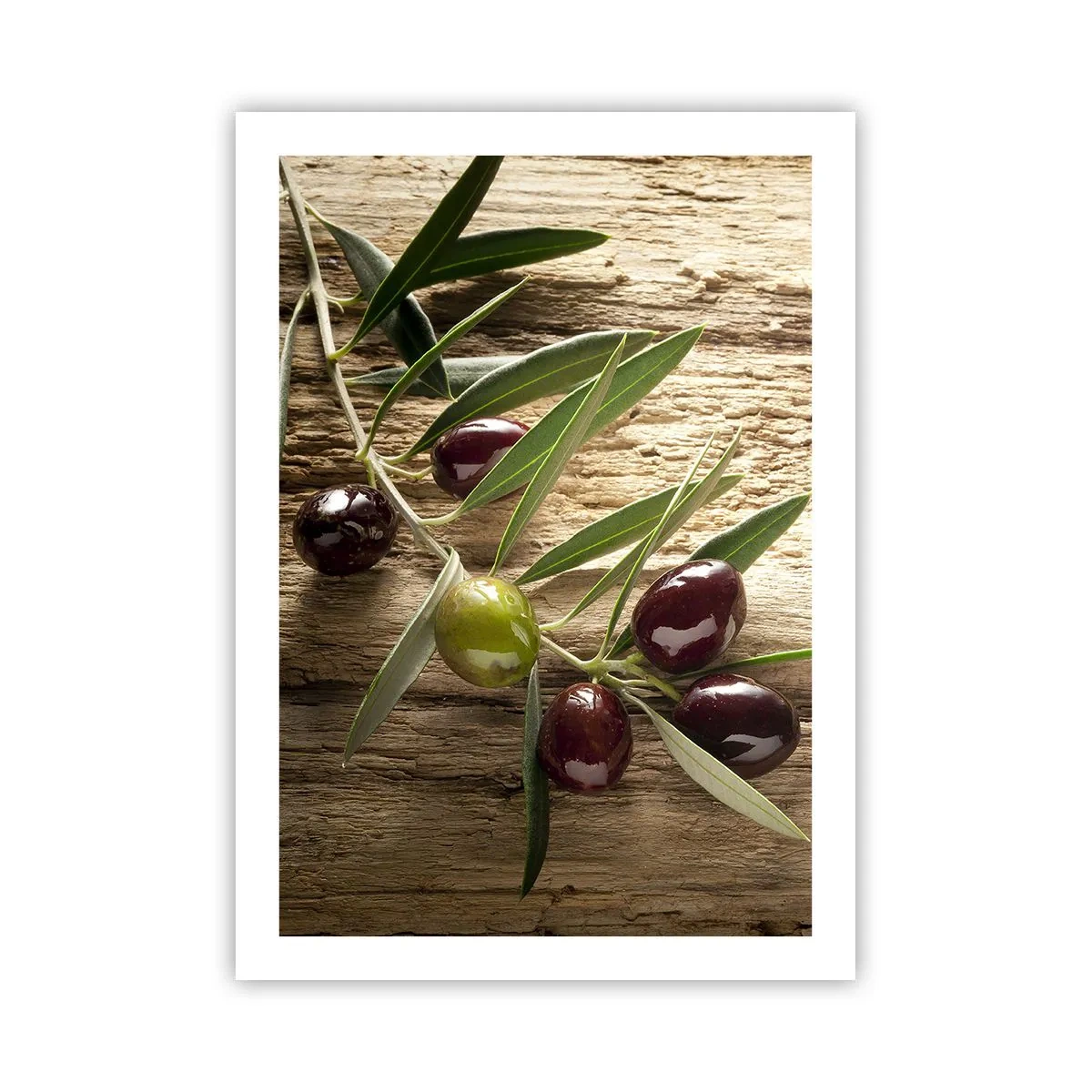 Poster - Ramo d'ulivo con olive verdi e nere - 50x70cm - Direttamente dalla natura - Decorazione murale moderna per soggiorno e camera da letto ARTTOR