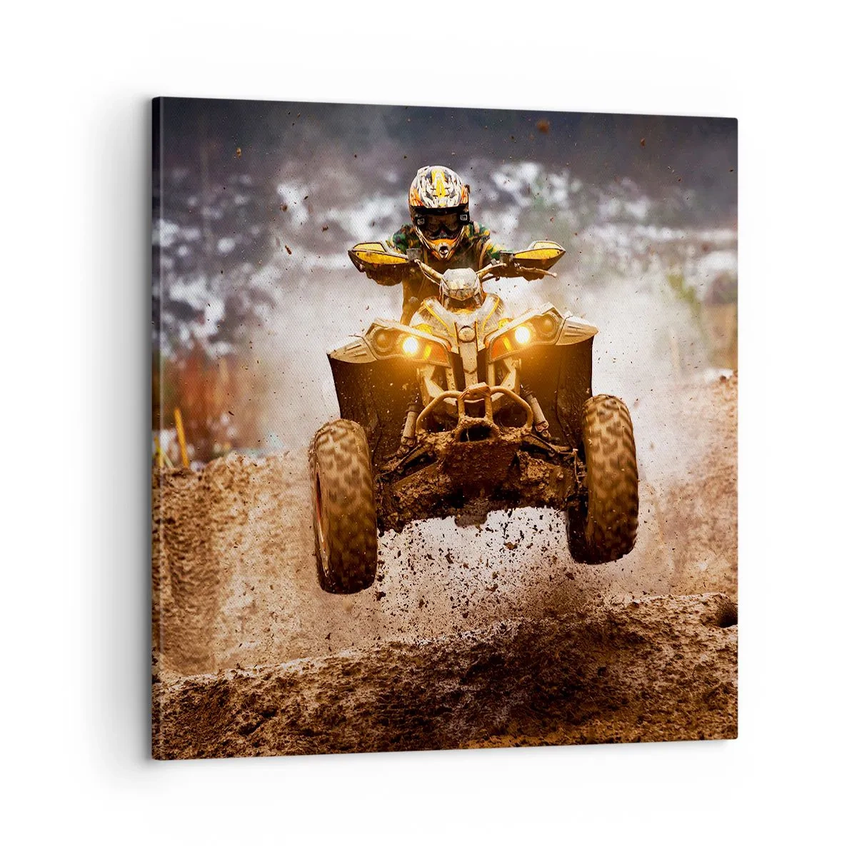 Quadro su tela - Stampe su Tela - No risk no fun - 60x60 cm