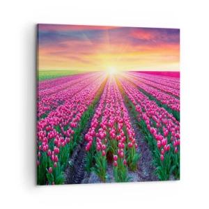 Quadro su tela - Stampe su Tela - La fattoria della bellezza - 60x60 cm