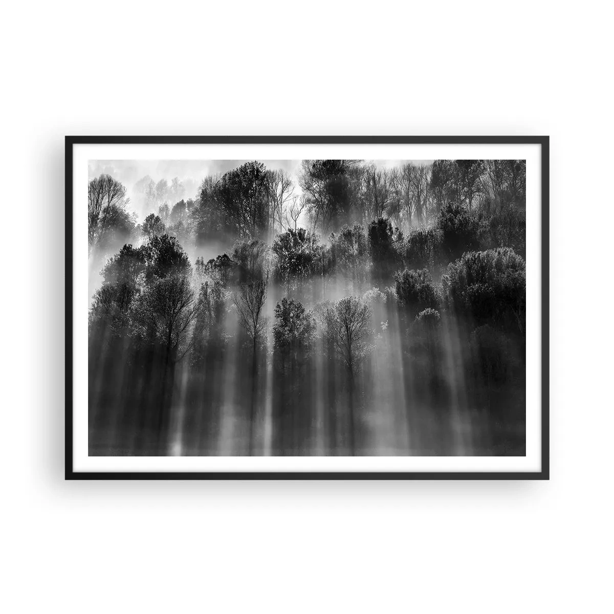 Poster in cornice nera - Foresta in bianco e nero alla luce del mattino - 100x70cm - Nei getti di luce - Decorazione murale moderna per soggiorno e camera da letto ARTTOR