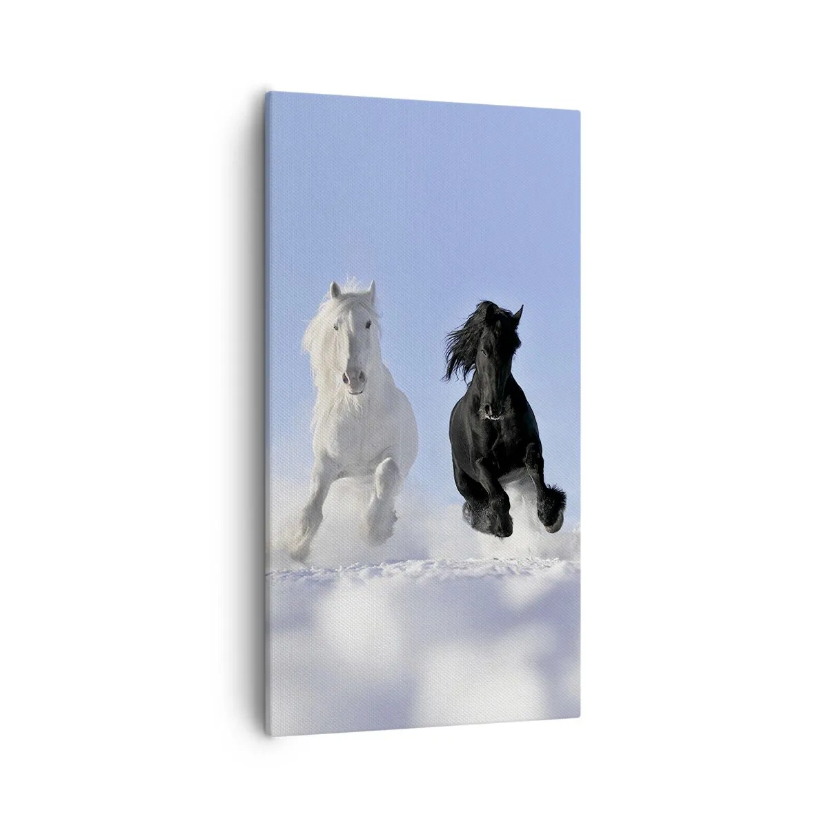 Quadro su tela - Stampe su Tela - Galoppo in bianco e nero - 55x100 cm