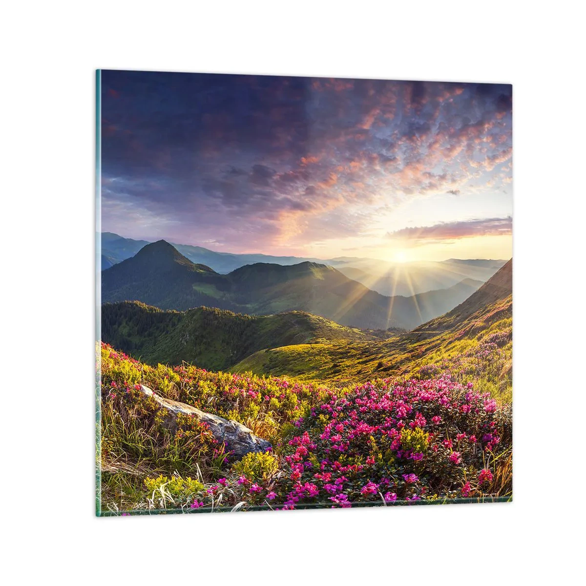 Quadro su vetro - La freschezza di un mattino sui monti - 50x50 cm