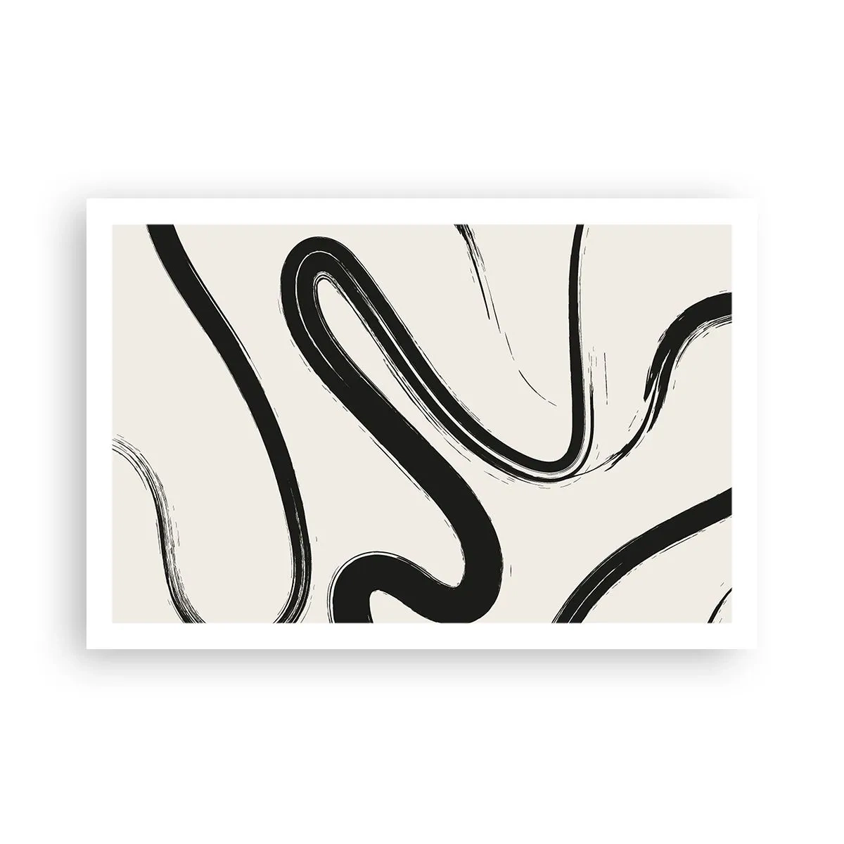 Poster - Capriccio bianco e nero - 91x61 cm