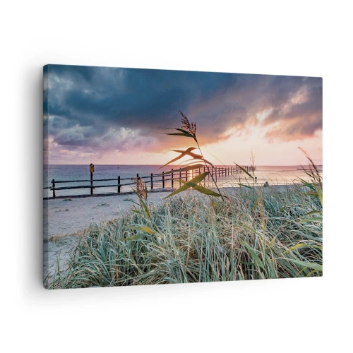 Quadro su tela - Stampe su Tela - Spiaggia al tramonto con erba in primo piano - 70x50cm - Non andrà via col vento - Decorazione murale moderna per soggiorno e camera da letto ARTTOR