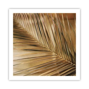 Poster - Colonnato naturale - 60x60 cm