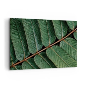 Quadro su tela - Stampe su Tela - Macro di foglie verdi con gocce di rugiada - 120x80cm - Al ritmo verde - Decorazione murale moderna per soggiorno e camera da letto ARTTOR