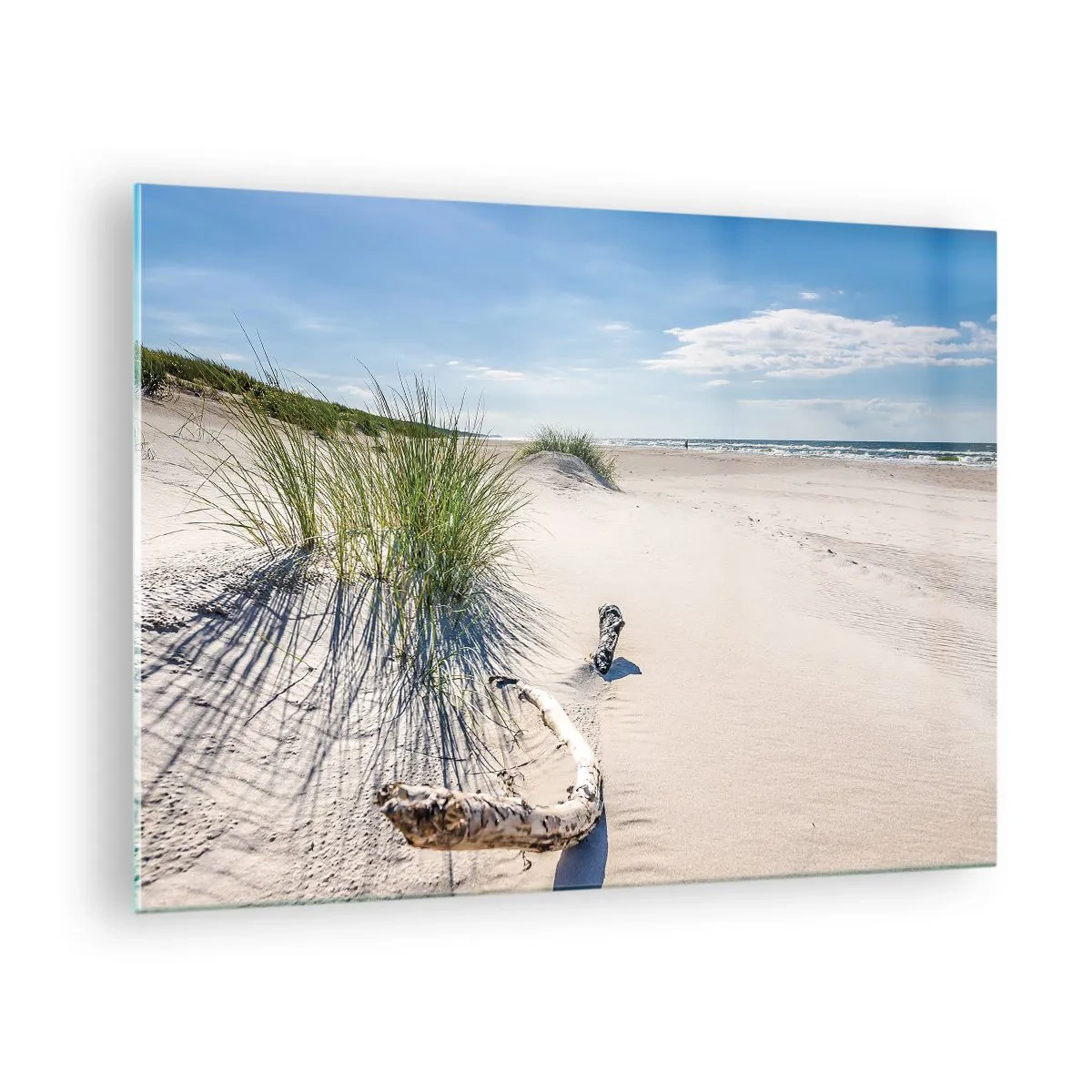 Quadro su vetro - Una spiaggia soleggiata con dune e alghe marine - 70x50cm - La più bella? Quella del baltico - Decorazione murale moderna per soggiorno e camera da letto ARTTOR
