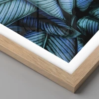 Rovere chiaro