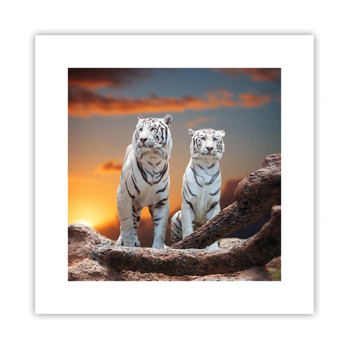 Poster - Proprio come a Narnia - 30x30 cm