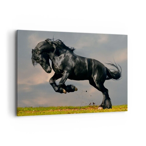 Quadro su tela - Stampe su Tela - Un cavallo oscuro in un salto dinamico contro il cielo - 100x70cm - Libero e bello - Decorazione murale moderna per soggiorno e camera da letto ARTTOR