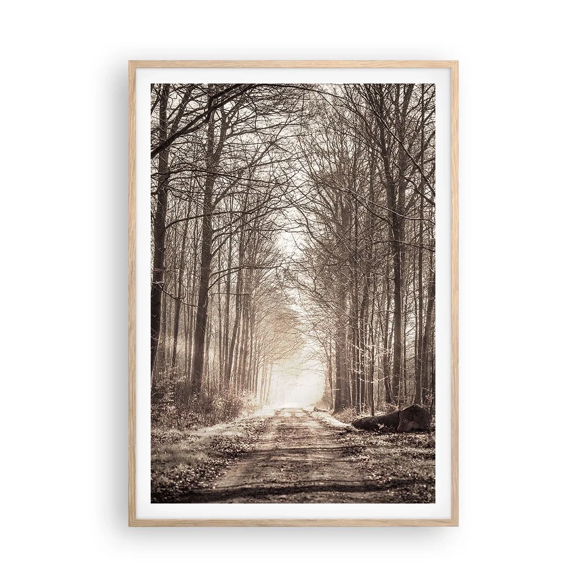 Poster in cornice rovere chiaro - La cattedrale del bosco - 70x100 cm