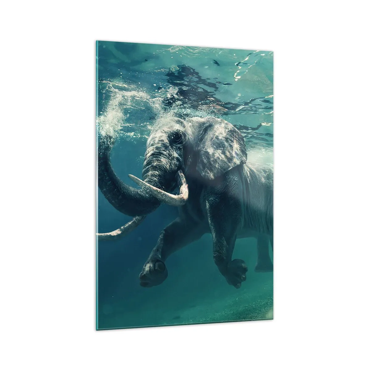 Quadro su vetro - Un elefante che nuota sott'acqua nelle profondità turchesi - 70x100cm - Tutti amano nuotare - Decorazione murale moderna per soggiorno e camera da letto ARTTOR