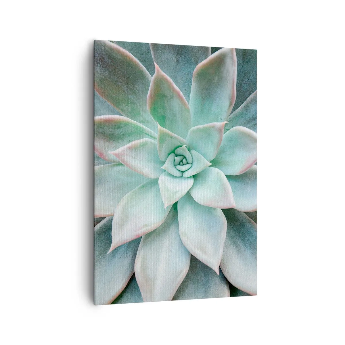 Quadro su tela - Stampe su Tela - Primo piano di una succulenta verde - 70x100cm - Il cuore del deserto - Decorazione murale moderna per soggiorno e camera da letto ARTTOR