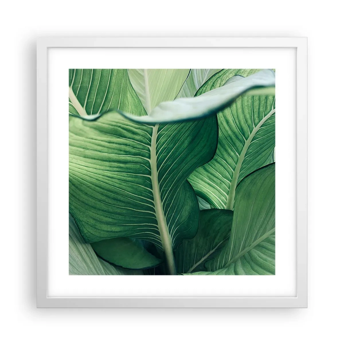 Poster in cornice bianca - Una vita intensamente verde - 40x40 cm