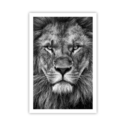 Poster - Nell'abito dell'incoronazione - 61x91 cm