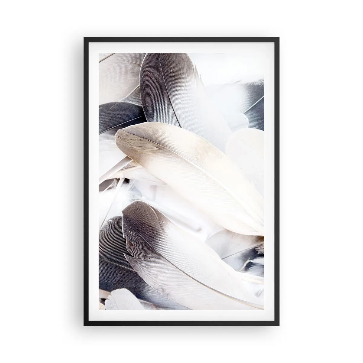 Poster in cornice nera - Quasi angeliche - 61x91 cm