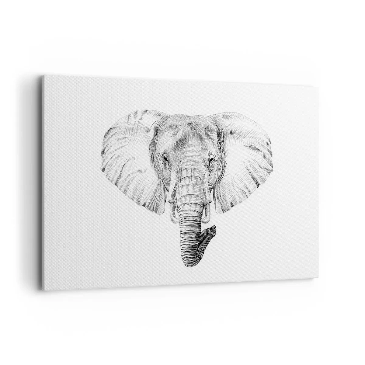 Quadro su tela - Stampe su Tela - Disegno in bianco e nero della testa di un elefante su sfondo bianco - 120x80cm - C'era un volta un elefante - Decorazione murale moderna per soggiorno e camera da letto ARTTOR