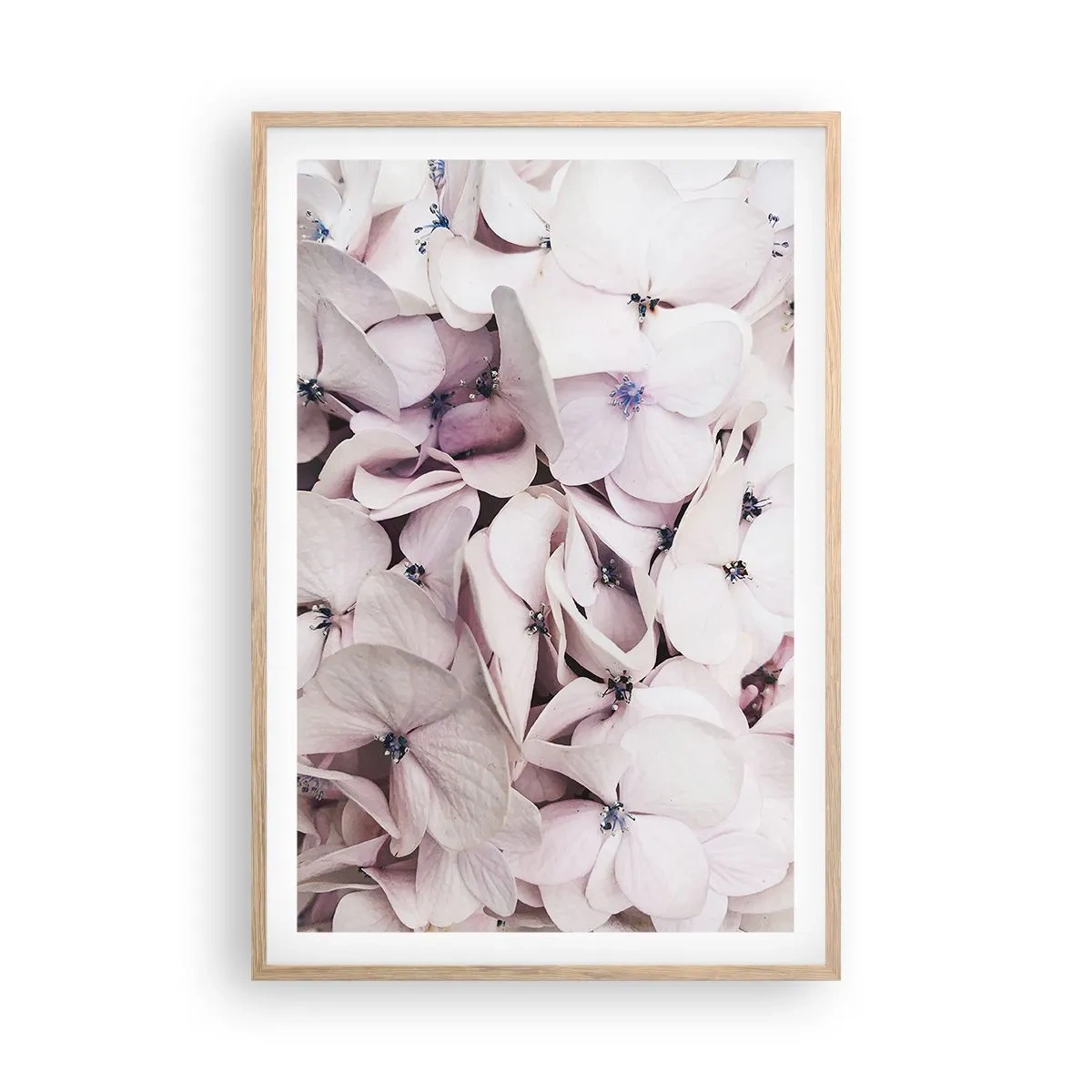 Poster in cornice rovere chiaro - Un'alluvione di fiori - 61x91 cm