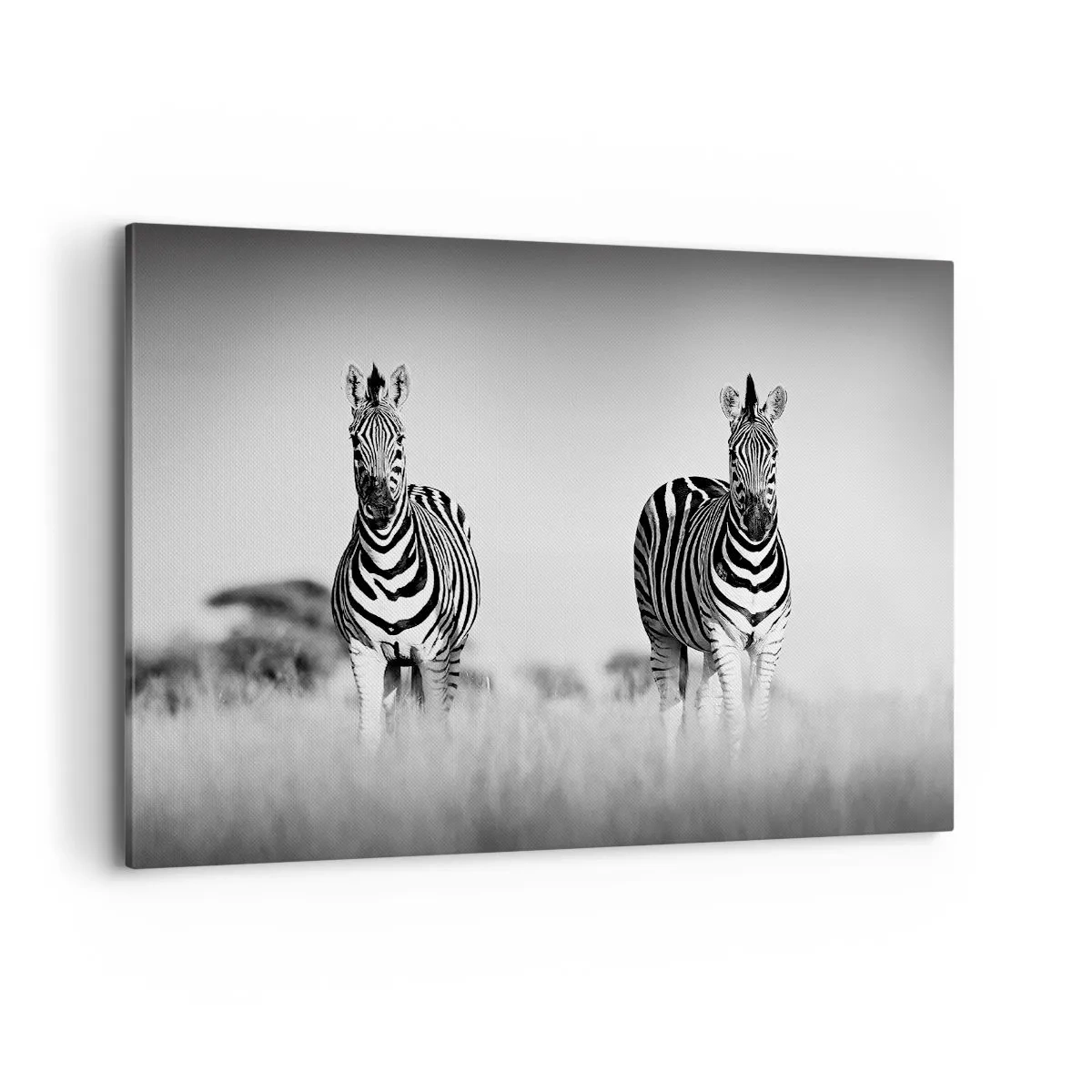 Quadro su tela - Stampe su Tela - Due zebre nella savana in stile monocromatico - 120x80cm - E tuttavia il mondo è bianco e nero - Decorazione murale moderna per soggiorno e camera da letto ARTTOR