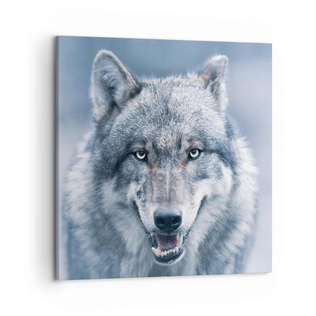 Quadro su tela - Stampe su Tela - Accetti la sfida? - 50x50 cm