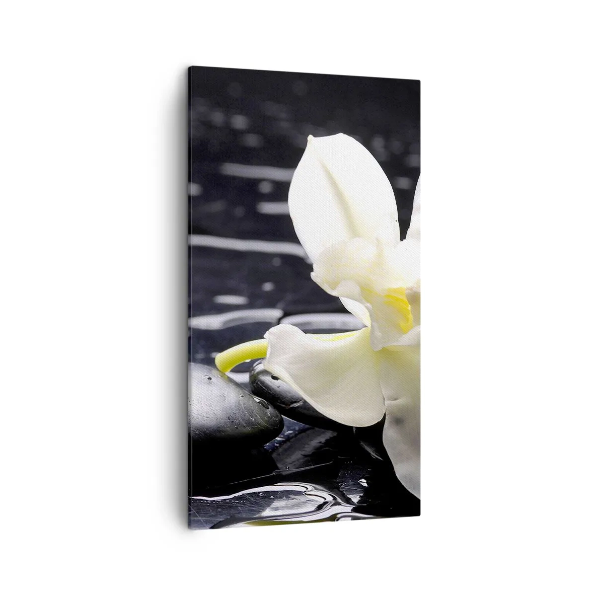 Quadro su tela - Stampe su Tela - Studio in bianco e nero - 45x80 cm