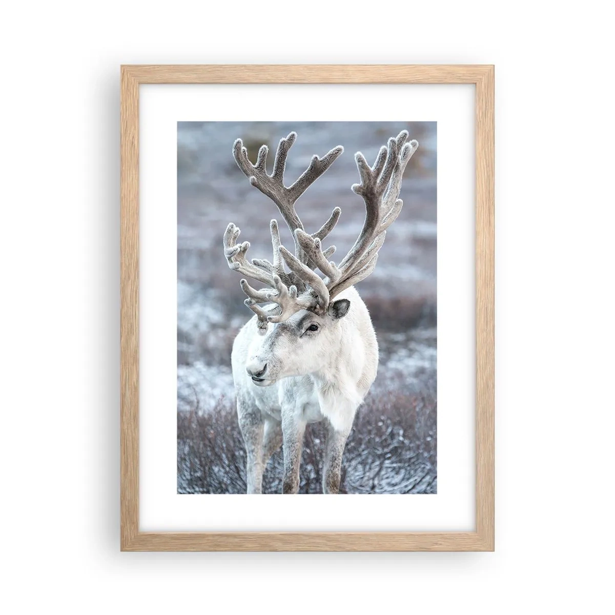 Poster in cornice rovere chiaro - Ritratto al sole - 30x40 cm