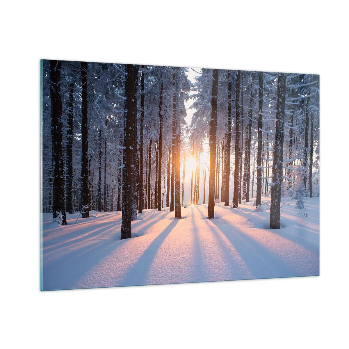 Quadro su vetro - Foresta invernale con raggi di sole che brillano attraverso gli alberi - 100x70cm - Decisamente nero su bianco - Decorazione murale moderna per soggiorno e camera da letto ARTTOR