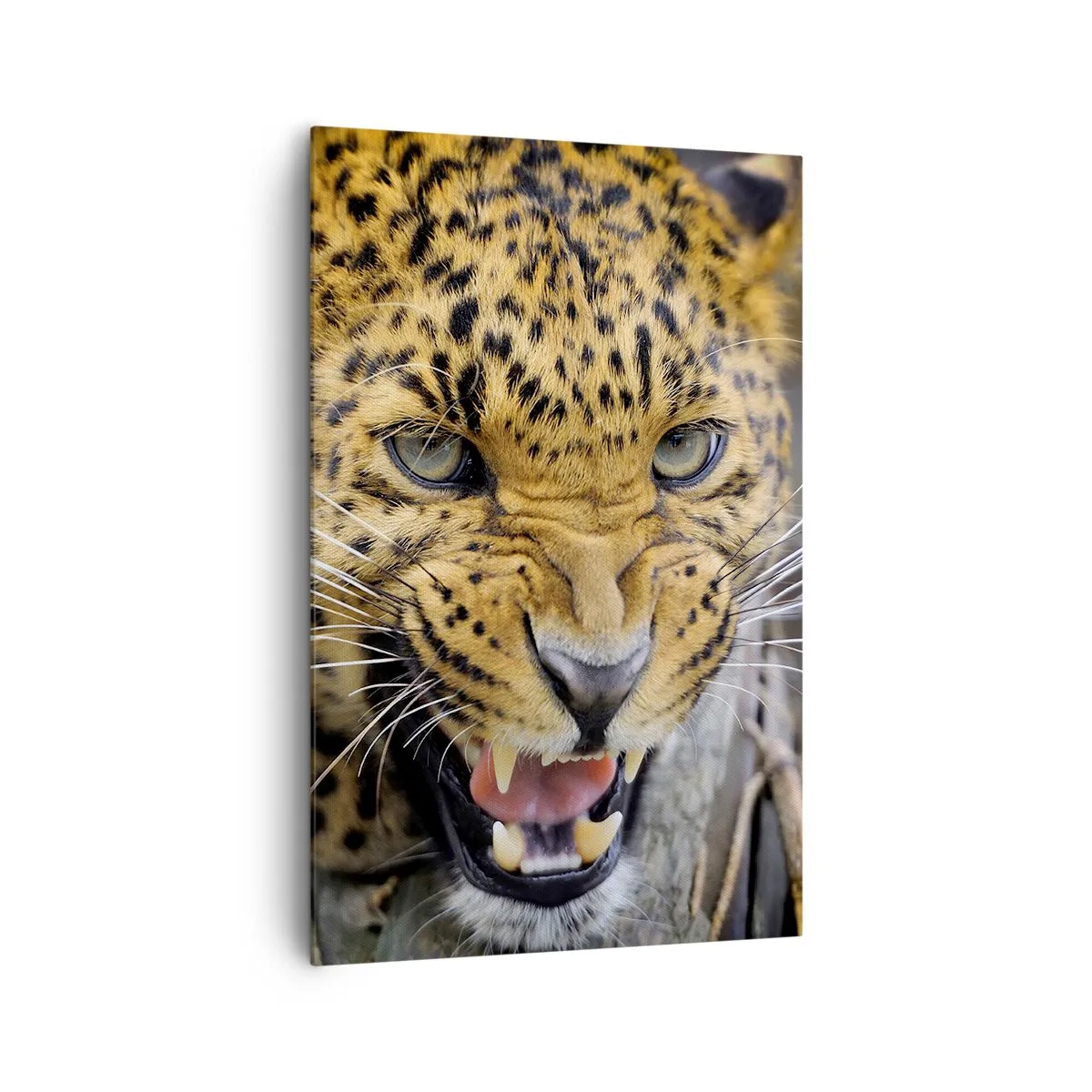 Quadro su tela - Stampe su Tela - Primo piano di un leopardo minaccioso con le zanne scoperte. - 80x120cm - Non avvicinarti, ti avverto! - Decorazione murale moderna per soggiorno e camera da letto ARTTOR