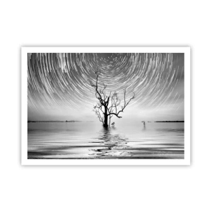 Poster - Un albero nell'acqua sotto un cielo notturno con stelle in movimento - 100x70cm - Sinfonia della natura - Decorazione murale moderna per soggiorno e camera da letto ARTTOR