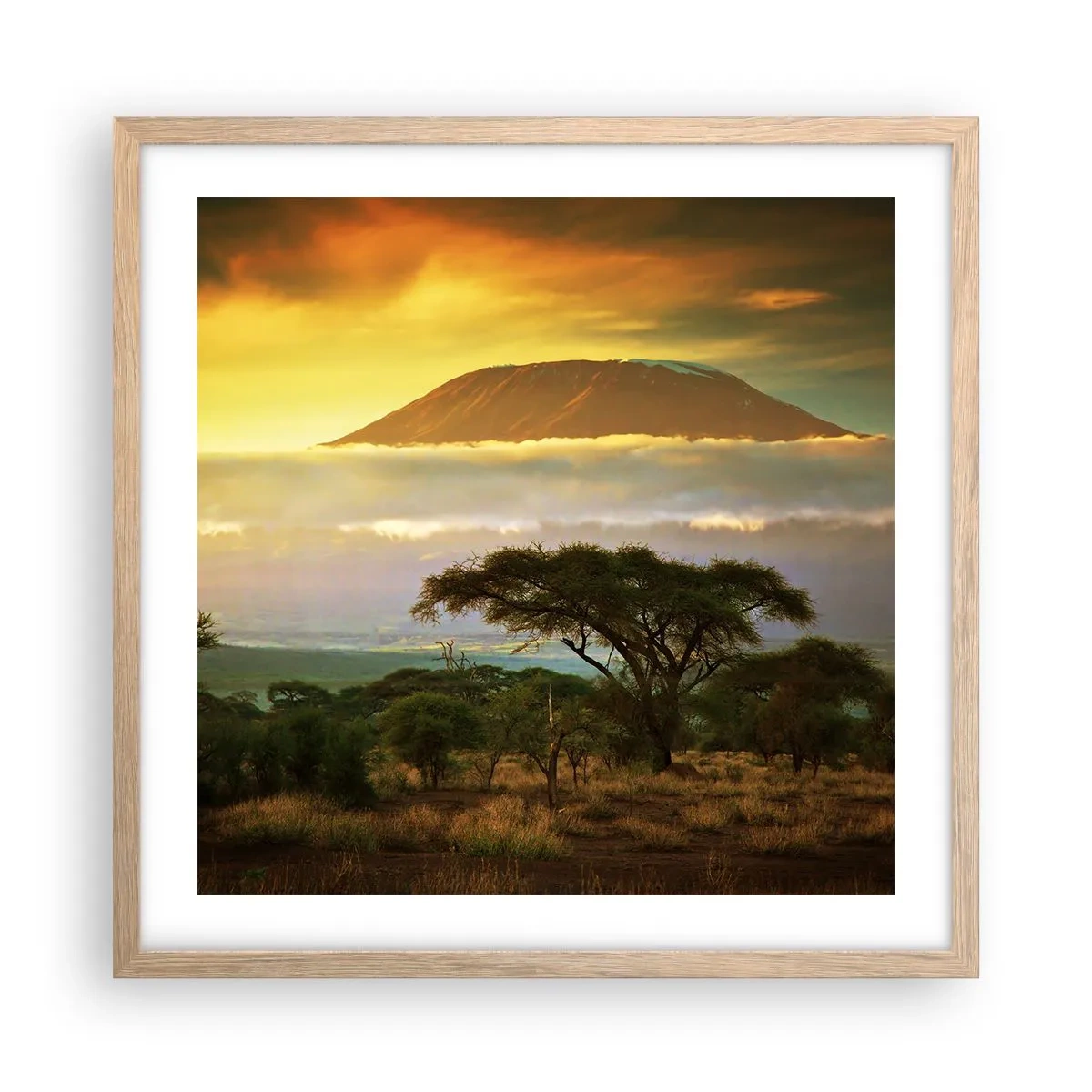 Poster in cornice rovere chiaro - Il sogno del viaggiatore - 50x50 cm