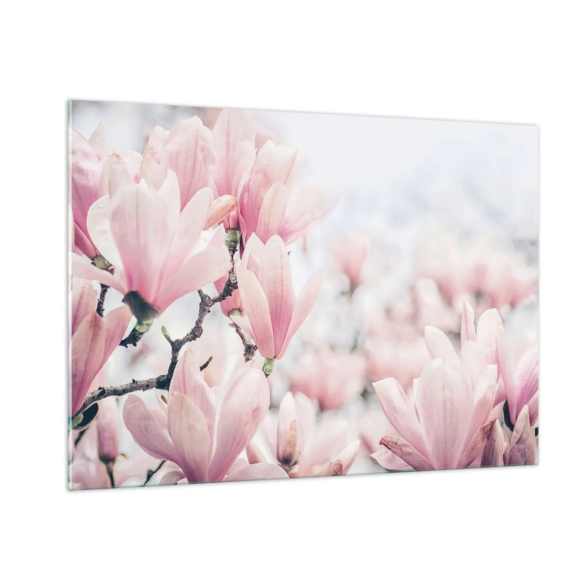 Quadro su vetro - Delicate magnolie rosa su sfondo chiaro - 100x70cm - Ideale di delicatezza - Decorazione murale moderna per soggiorno e camera da letto ARTTOR